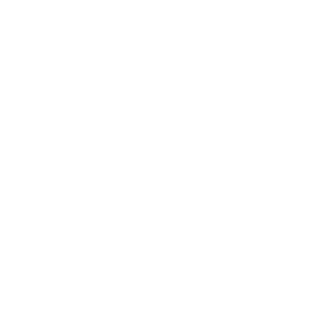 AVT Simulation Logo