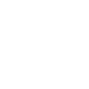 The National Center for Simulation Logo
